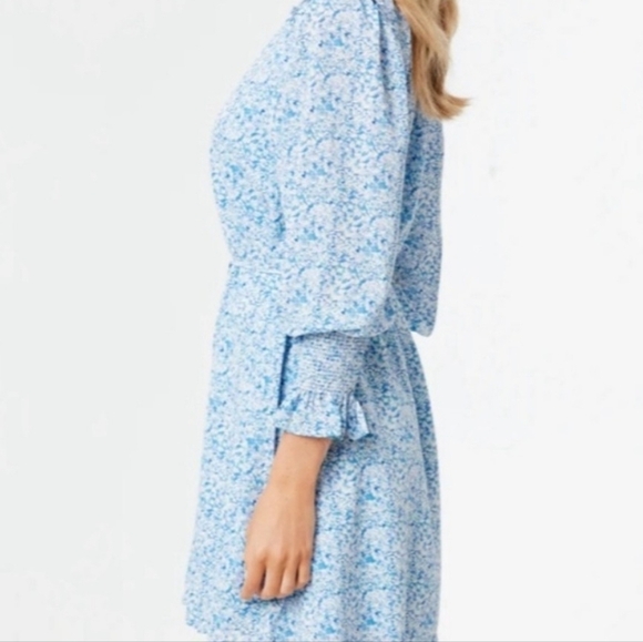 Pomander Place Balou Mini Dress. - Picture 12 of 14